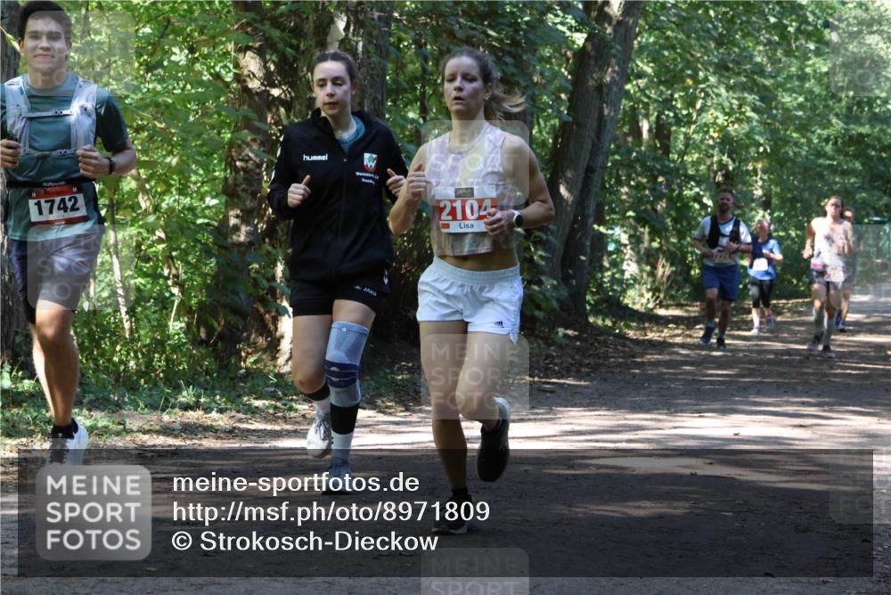 28.09.2025 - 33. Volkslauf durch das schöne Alstertal Strokosch-Dieckow http://msf.ph/oto/8971809 28.09.2025 12:22:42 Laufen 1742, 2104 meine-sportfotos.de