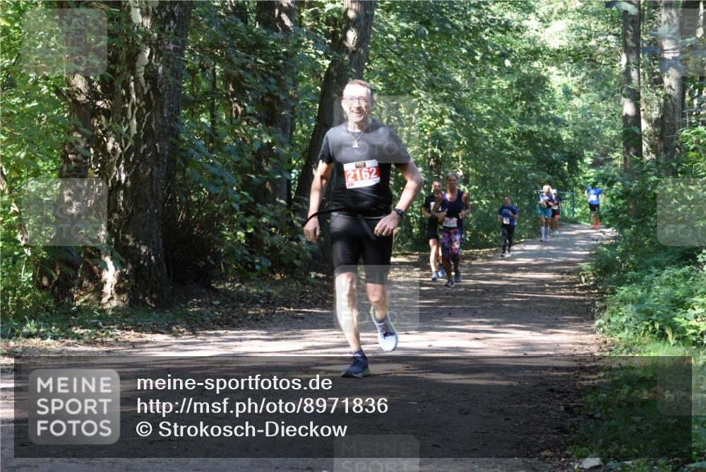 28.09.2025 - 33. Volkslauf durch das schöne Alstertal Strokosch-Dieckow http://msf.ph/oto/8971836 28.09.2025 12:23:08 Laufen 2162, 2569 meine-sportfotos.de