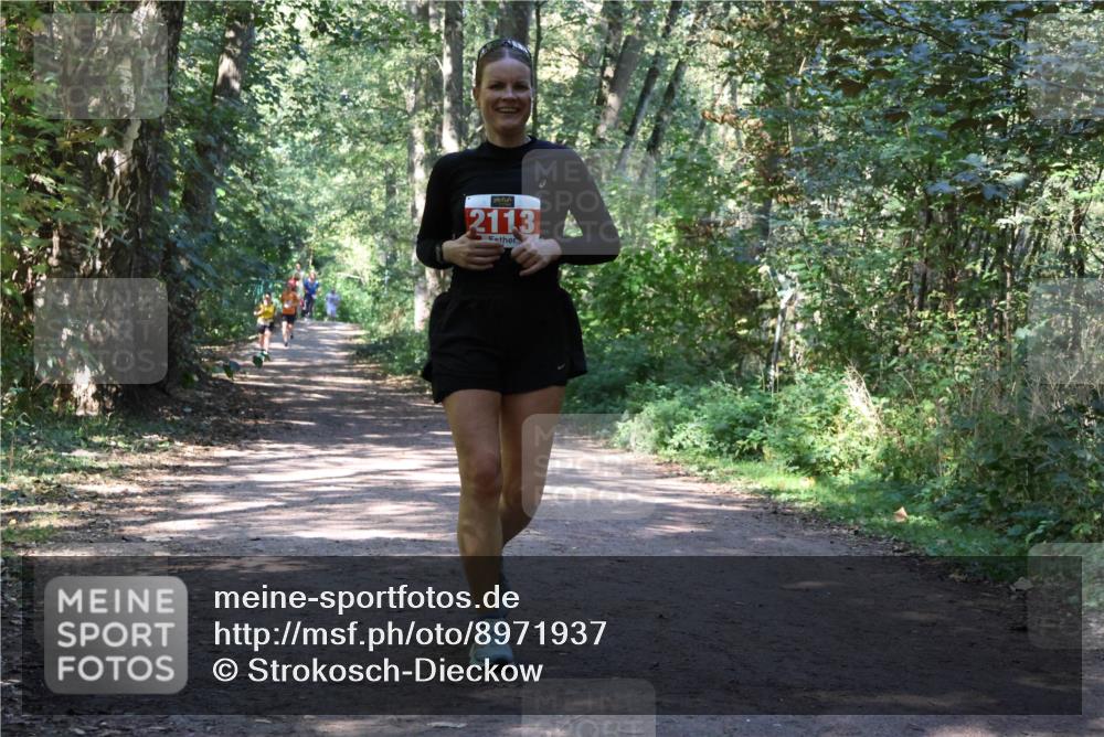 28.09.2025 - 33. Volkslauf durch das schöne Alstertal Strokosch-Dieckow http://msf.ph/oto/8971937 28.09.2025 12:25:43 Laufen 2113 meine-sportfotos.de