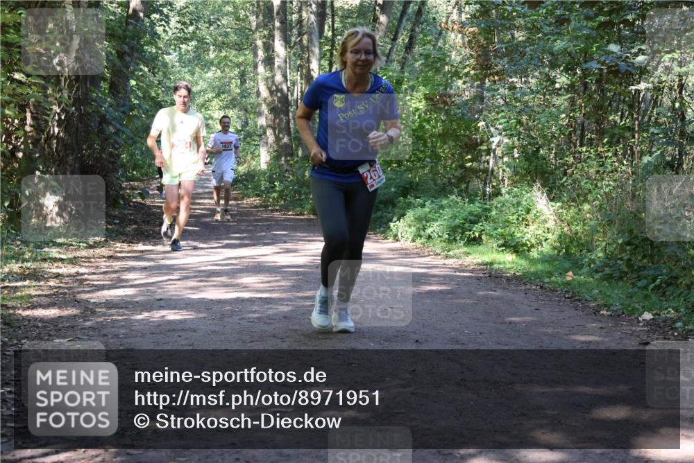 28.09.2025 - 33. Volkslauf durch das schöne Alstertal Strokosch-Dieckow http://msf.ph/oto/8971951 28.09.2025 12:26:08 Laufen 1837, 260 meine-sportfotos.de