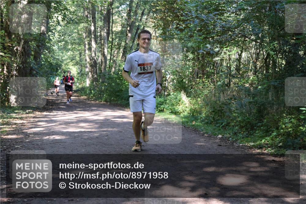 28.09.2025 - 33. Volkslauf durch das schöne Alstertal Strokosch-Dieckow http://msf.ph/oto/8971958 28.09.2025 12:26:14 Laufen 1837 meine-sportfotos.de