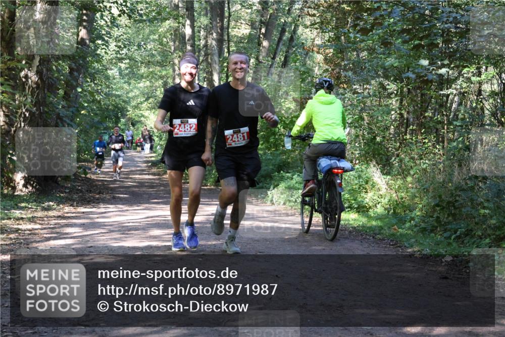 28.09.2025 - 33. Volkslauf durch das schöne Alstertal Strokosch-Dieckow http://msf.ph/oto/8971987 28.09.2025 12:26:40 Laufen 2482, 2481 meine-sportfotos.de