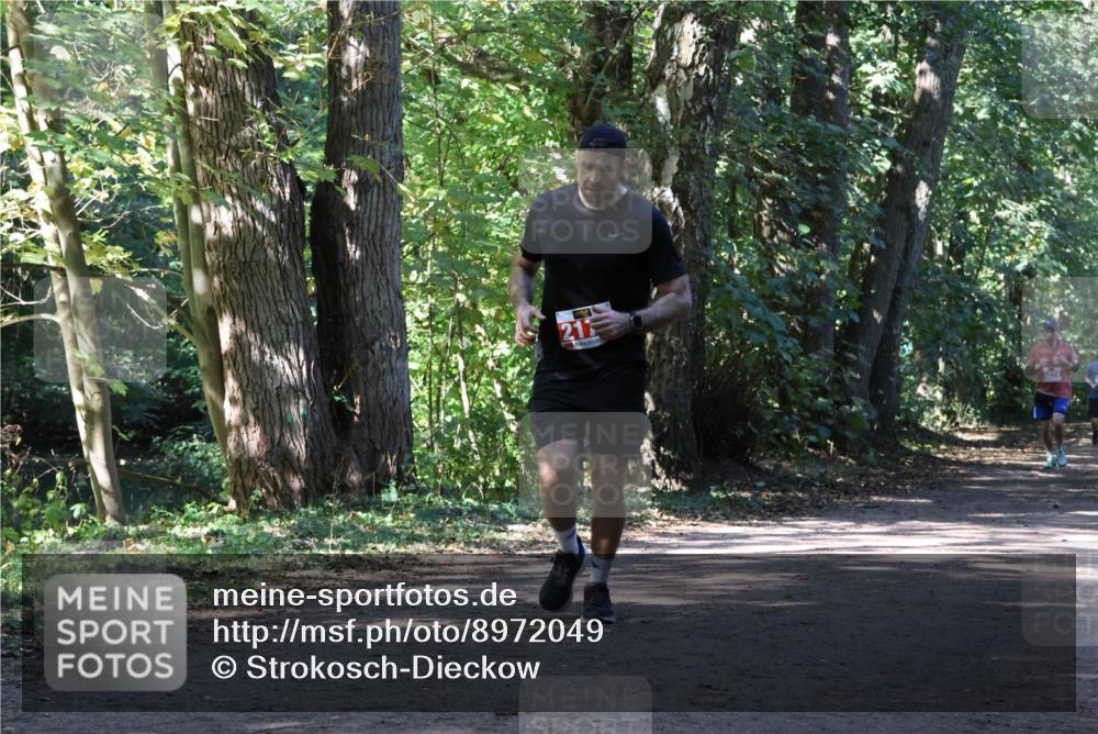 28.09.2025 - 33. Volkslauf durch das schöne Alstertal Strokosch-Dieckow http://msf.ph/oto/8972049 28.09.2025 12:28:44 Laufen 21 meine-sportfotos.de