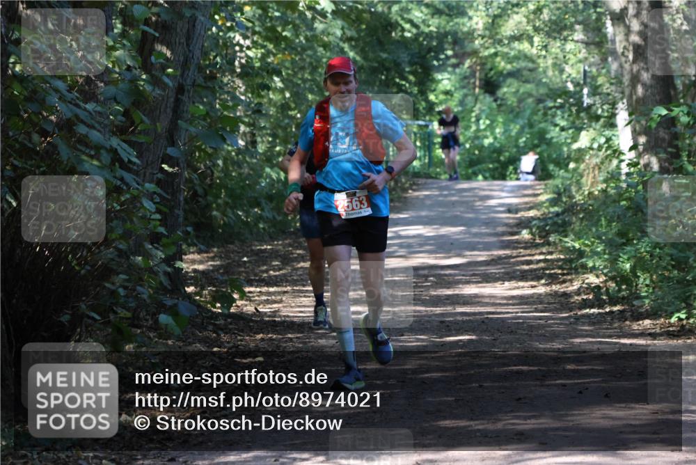 28.09.2025 - 33. Volkslauf durch das schöne Alstertal Strokosch-Dieckow http://msf.ph/oto/8974021 28.09.2025 12:33:30 Laufen 2563 meine-sportfotos.de