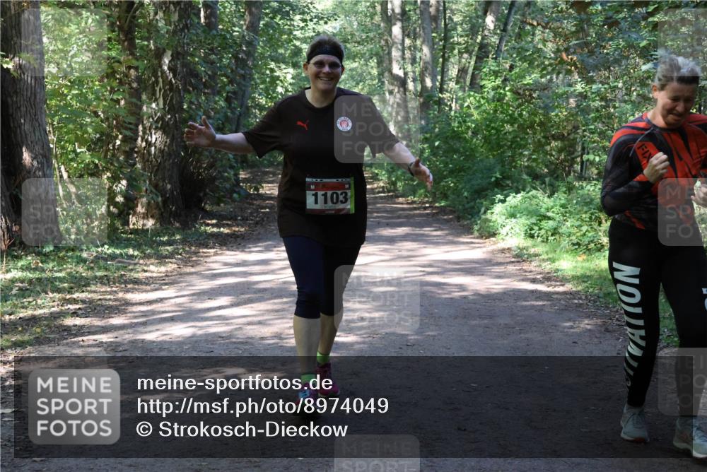 28.09.2025 - 33. Volkslauf durch das schöne Alstertal Strokosch-Dieckow http://msf.ph/oto/8974049 28.09.2025 12:34:28 Laufen 1103 meine-sportfotos.de