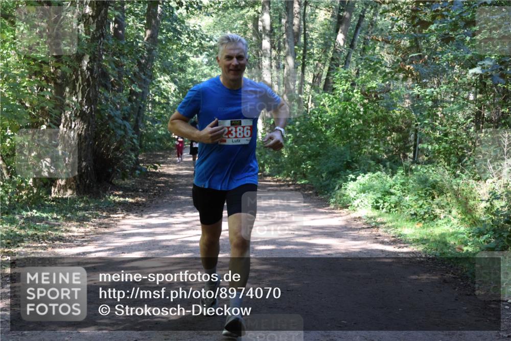 28.09.2025 - 33. Volkslauf durch das schöne Alstertal Strokosch-Dieckow http://msf.ph/oto/8974070 28.09.2025 12:35:15 Laufen 2386 meine-sportfotos.de
