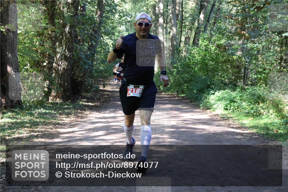28.09.2025 - 33. Volkslauf durch das schöne Alstertal Strokosch-Dieckow http://msf.ph/oto/8974077 28.09.2025 12:35:23 Laufen 2186 meine-sportfotos.de