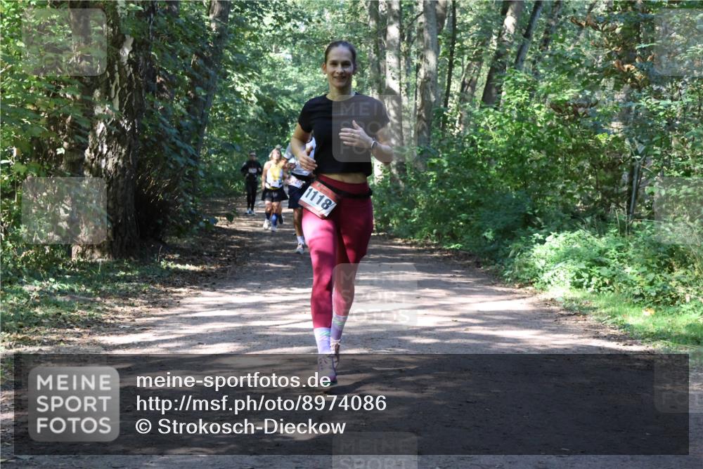 28.09.2025 - 33. Volkslauf durch das schöne Alstertal Strokosch-Dieckow http://msf.ph/oto/8974086 28.09.2025 12:35:31 Laufen 1118 meine-sportfotos.de