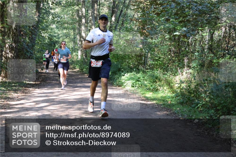 28.09.2025 - 33. Volkslauf durch das schöne Alstertal Strokosch-Dieckow http://msf.ph/oto/8974089 28.09.2025 12:35:35 Laufen 2040 meine-sportfotos.de