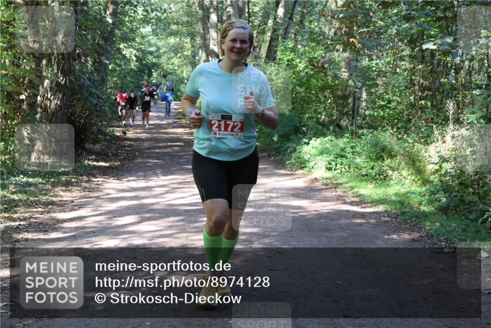28.09.2025 - 33. Volkslauf durch das schöne Alstertal Strokosch-Dieckow http://msf.ph/oto/8974128 28.09.2025 12:36:05 Laufen 2172 meine-sportfotos.de