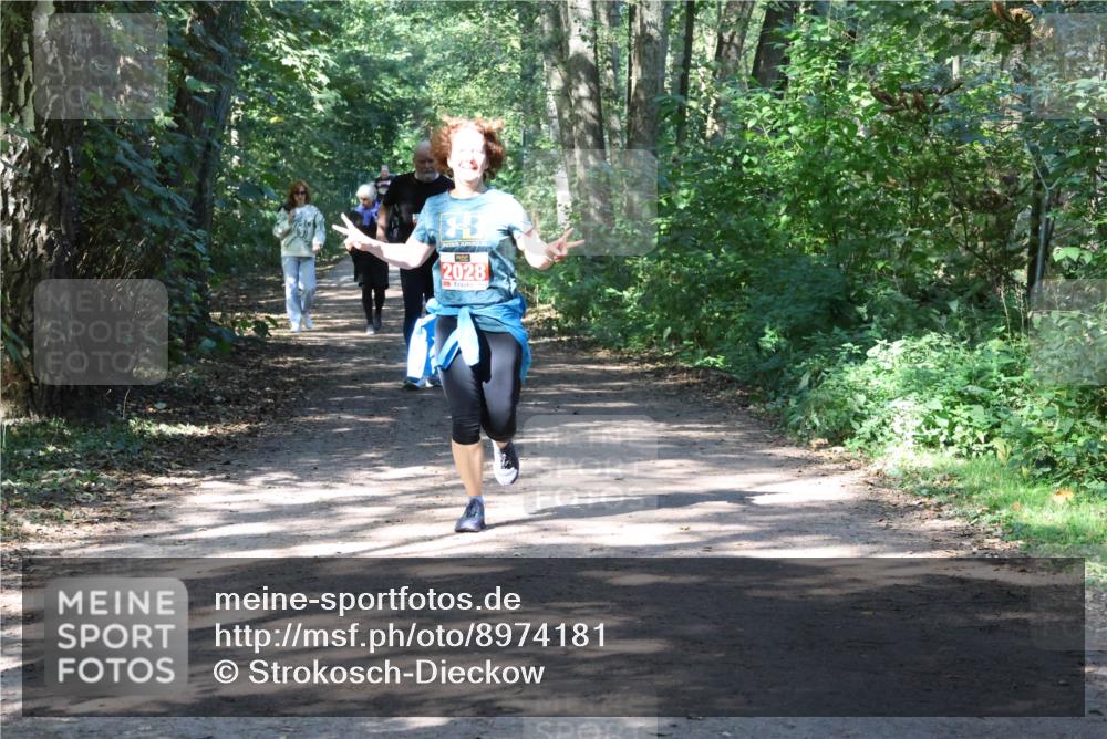 28.09.2025 - 33. Volkslauf durch das schöne Alstertal Strokosch-Dieckow http://msf.ph/oto/8974181 28.09.2025 12:36:55 Laufen 2028 meine-sportfotos.de