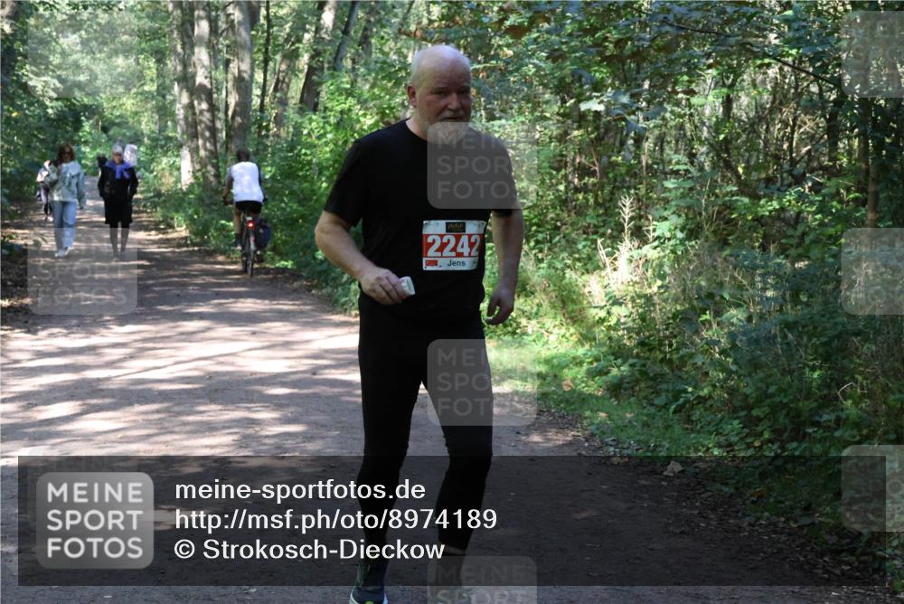 28.09.2025 - 33. Volkslauf durch das schöne Alstertal Strokosch-Dieckow http://msf.ph/oto/8974189 28.09.2025 12:37:02 Laufen 2242 meine-sportfotos.de