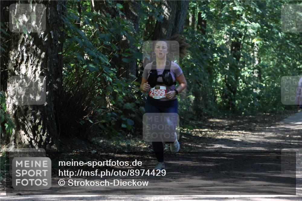 28.09.2025 - 33. Volkslauf durch das schöne Alstertal Strokosch-Dieckow http://msf.ph/oto/8974429 28.09.2025 12:44:14 Laufen 2609 meine-sportfotos.de