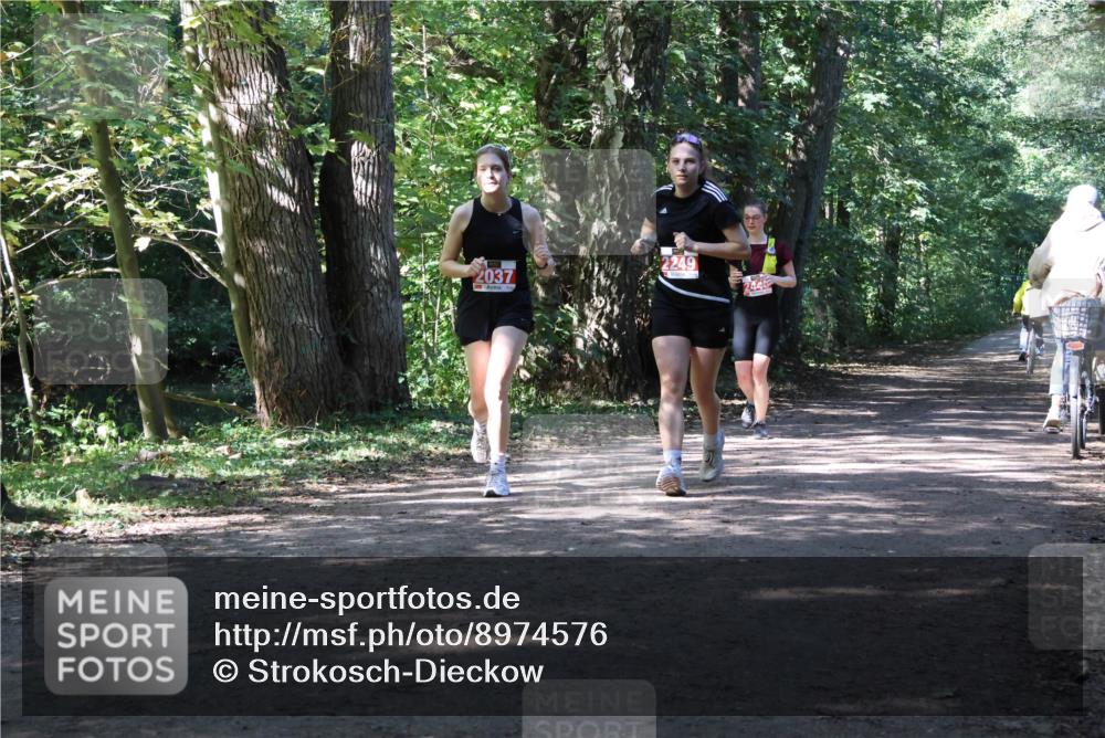28.09.2025 - 33. Volkslauf durch das schöne Alstertal Strokosch-Dieckow http://msf.ph/oto/8974576 28.09.2025 12:49:33 Laufen 2037, 2249 meine-sportfotos.de