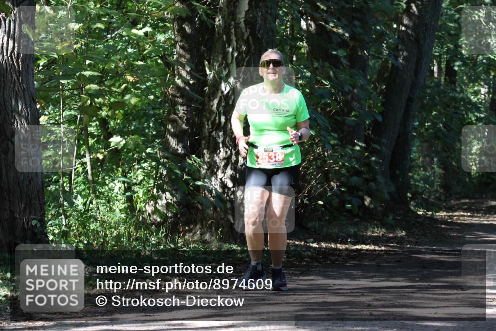 28.09.2025 - 33. Volkslauf durch das schöne Alstertal Strokosch-Dieckow http://msf.ph/oto/8974609 28.09.2025 12:50:46 Laufen 2538 meine-sportfotos.de