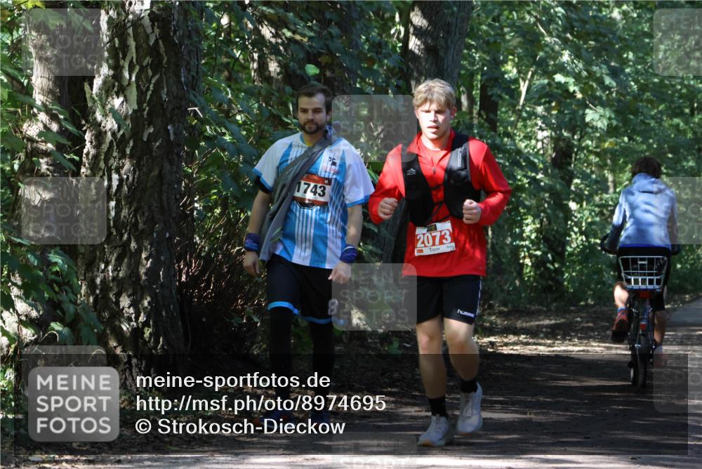 28.09.2025 - 33. Volkslauf durch das schöne Alstertal Strokosch-Dieckow http://msf.ph/oto/8974695 28.09.2025 12:56:11 Laufen 1743, 2073, 8 meine-sportfotos.de