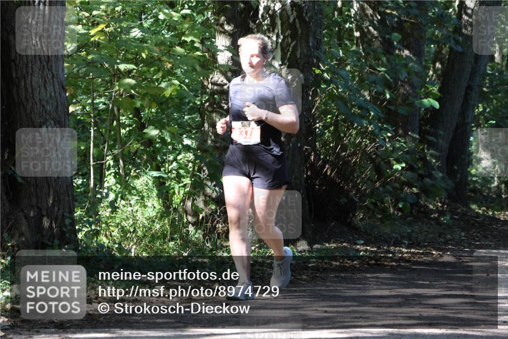28.09.2025 - 33. Volkslauf durch das schöne Alstertal Strokosch-Dieckow http://msf.ph/oto/8974729 28.09.2025 12:58:49 Laufen 237 meine-sportfotos.de