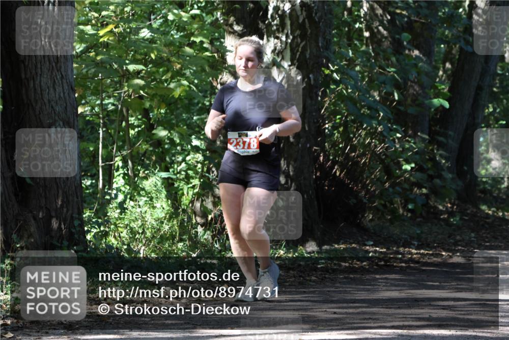 28.09.2025 - 33. Volkslauf durch das schöne Alstertal Strokosch-Dieckow http://msf.ph/oto/8974731 28.09.2025 12:58:49 Laufen 2378 meine-sportfotos.de