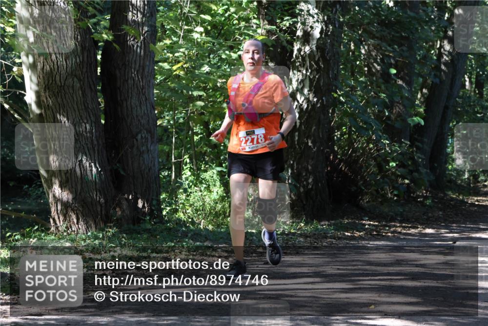 28.09.2025 - 33. Volkslauf durch das schöne Alstertal Strokosch-Dieckow http://msf.ph/oto/8974746 28.09.2025 12:59:36 Laufen 2278 meine-sportfotos.de