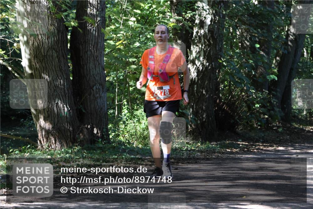 28.09.2025 - 33. Volkslauf durch das schöne Alstertal Strokosch-Dieckow http://msf.ph/oto/8974748 28.09.2025 12:59:36 Laufen 278 meine-sportfotos.de