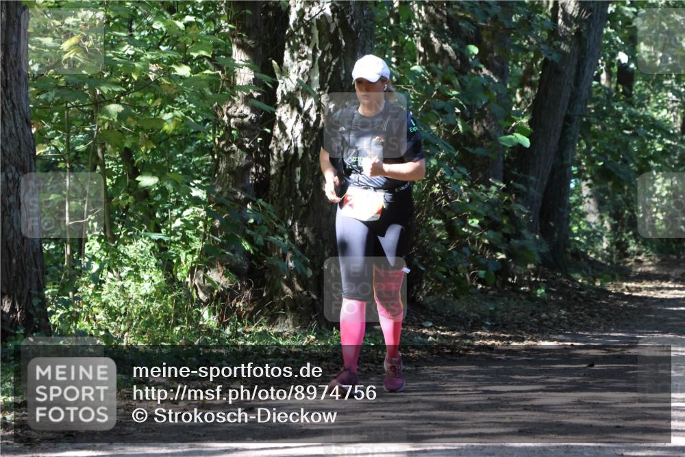 28.09.2025 - 33. Volkslauf durch das schöne Alstertal Strokosch-Dieckow http://msf.ph/oto/8974756 28.09.2025 13:00:14 Laufen  meine-sportfotos.de