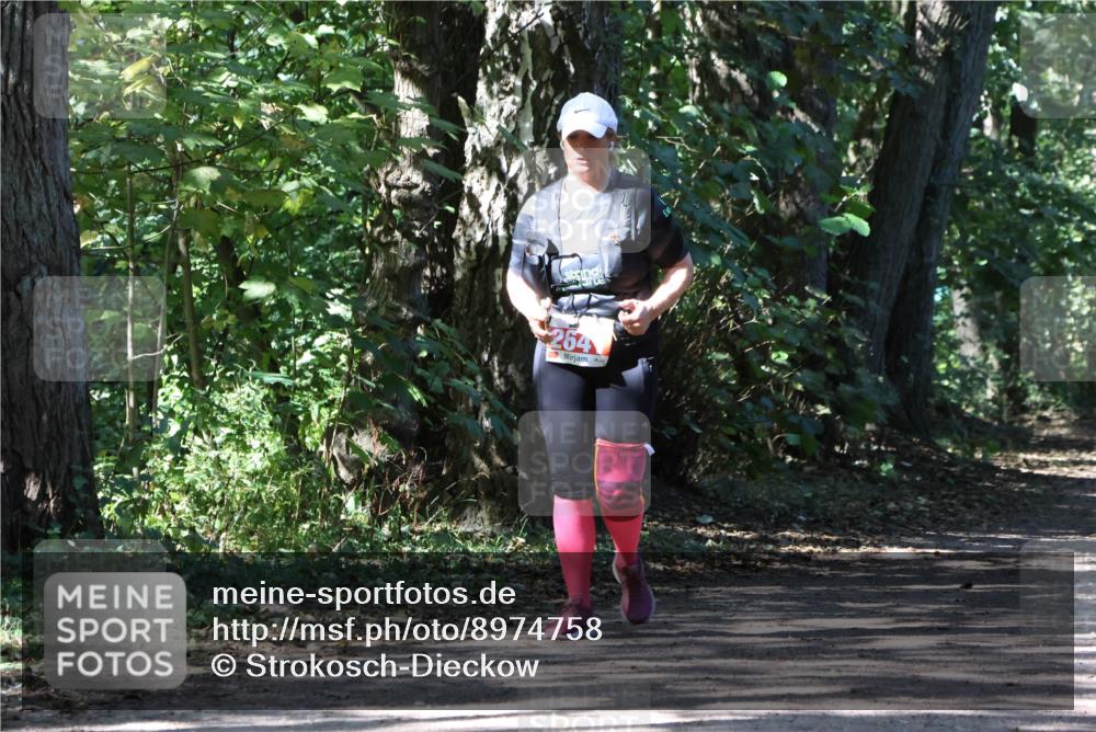 28.09.2025 - 33. Volkslauf durch das schöne Alstertal Strokosch-Dieckow http://msf.ph/oto/8974758 28.09.2025 13:00:14 Laufen 254 meine-sportfotos.de