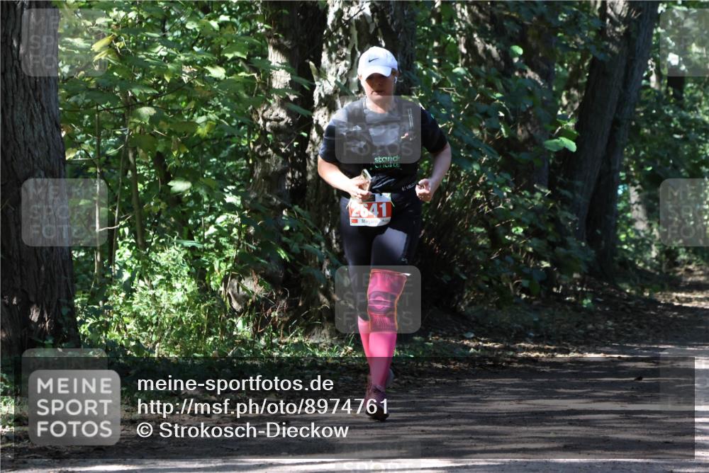 28.09.2025 - 33. Volkslauf durch das schöne Alstertal Strokosch-Dieckow http://msf.ph/oto/8974761 28.09.2025 13:00:14 Laufen 2641 meine-sportfotos.de