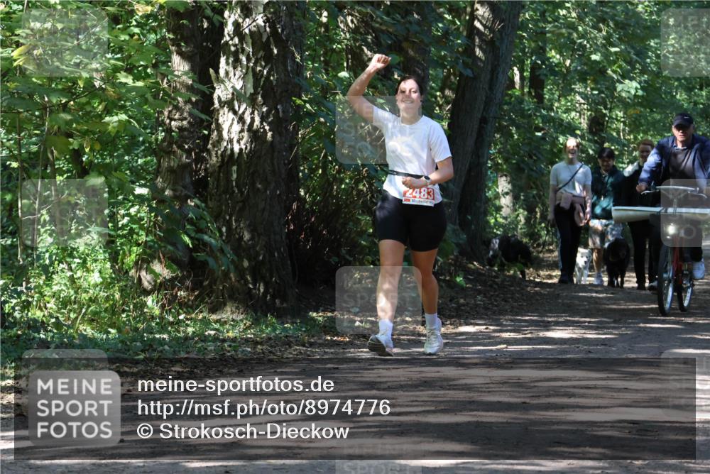 28.09.2025 - 33. Volkslauf durch das schöne Alstertal Strokosch-Dieckow http://msf.ph/oto/8974776 28.09.2025 13:01:48 Laufen 2483 meine-sportfotos.de