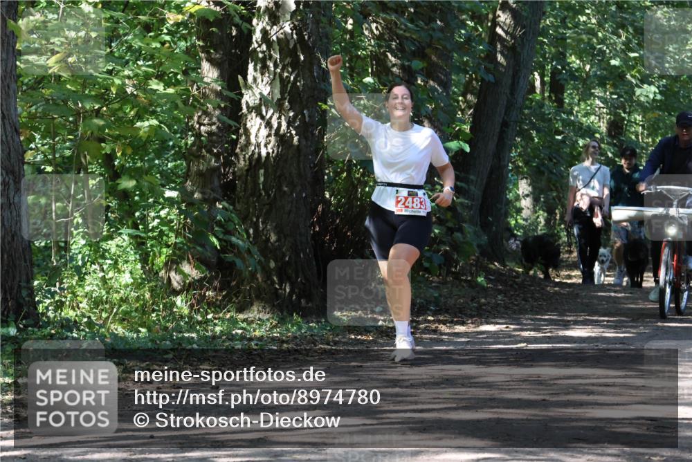 28.09.2025 - 33. Volkslauf durch das schöne Alstertal Strokosch-Dieckow http://msf.ph/oto/8974780 28.09.2025 13:01:48 Laufen 2483 meine-sportfotos.de