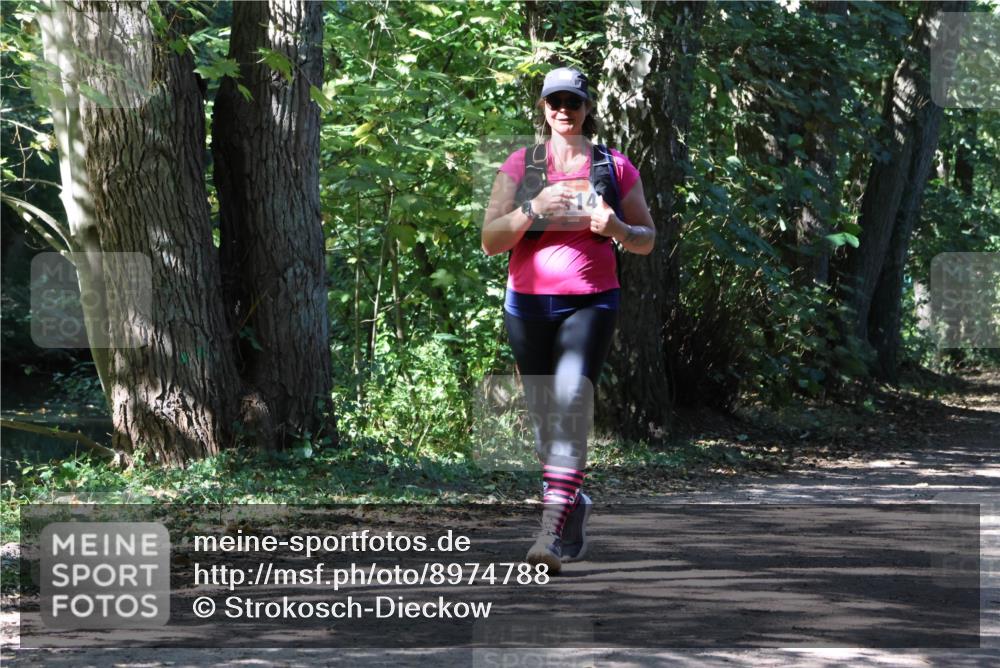 28.09.2025 - 33. Volkslauf durch das schöne Alstertal Strokosch-Dieckow http://msf.ph/oto/8974788 28.09.2025 13:02:23 Laufen 14 meine-sportfotos.de