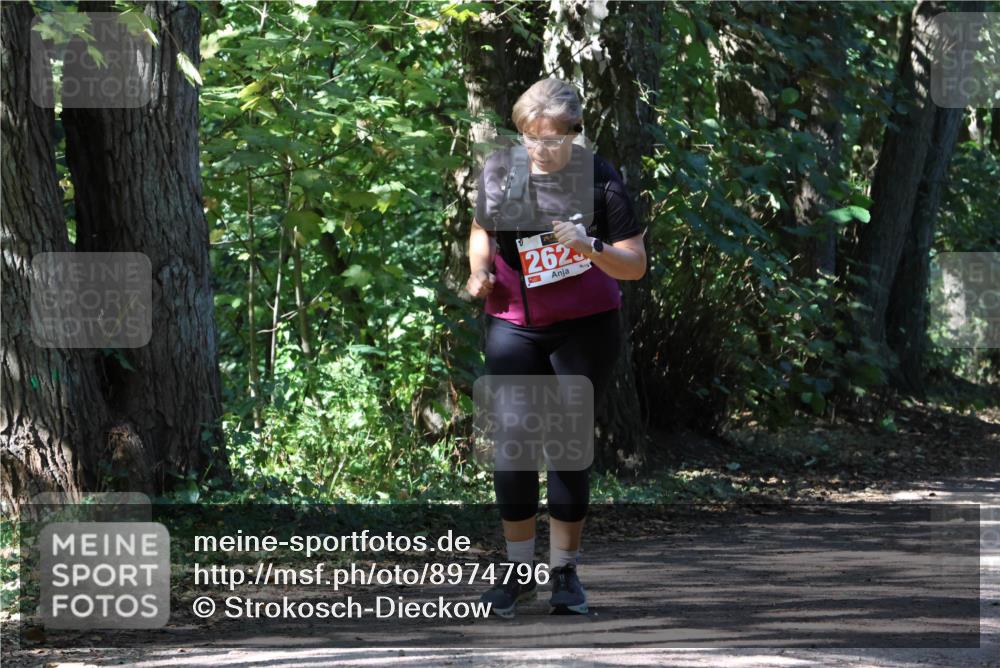 28.09.2025 - 33. Volkslauf durch das schöne Alstertal Strokosch-Dieckow http://msf.ph/oto/8974796 28.09.2025 13:02:32 Laufen 262 meine-sportfotos.de