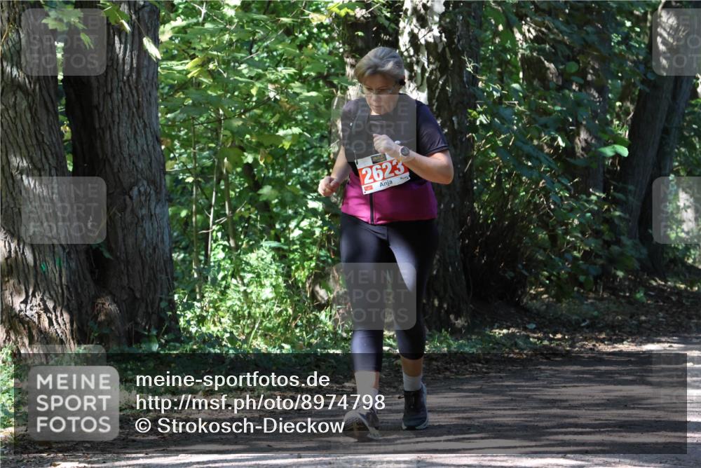 28.09.2025 - 33. Volkslauf durch das schöne Alstertal Strokosch-Dieckow http://msf.ph/oto/8974798 28.09.2025 13:02:32 Laufen 2623 meine-sportfotos.de