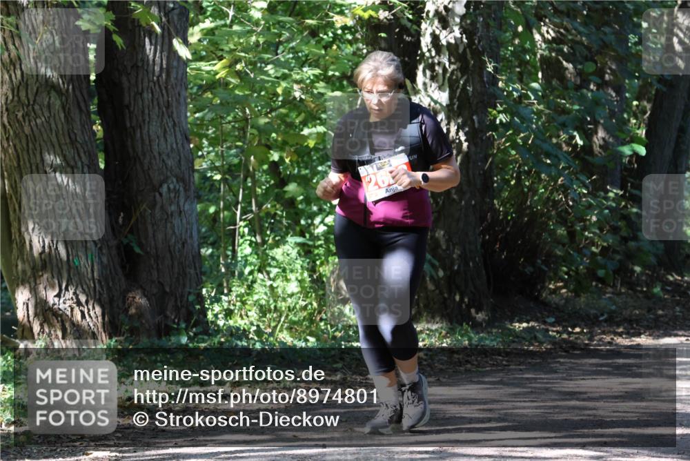 28.09.2025 - 33. Volkslauf durch das schöne Alstertal Strokosch-Dieckow http://msf.ph/oto/8974801 28.09.2025 13:02:32 Laufen 26 meine-sportfotos.de