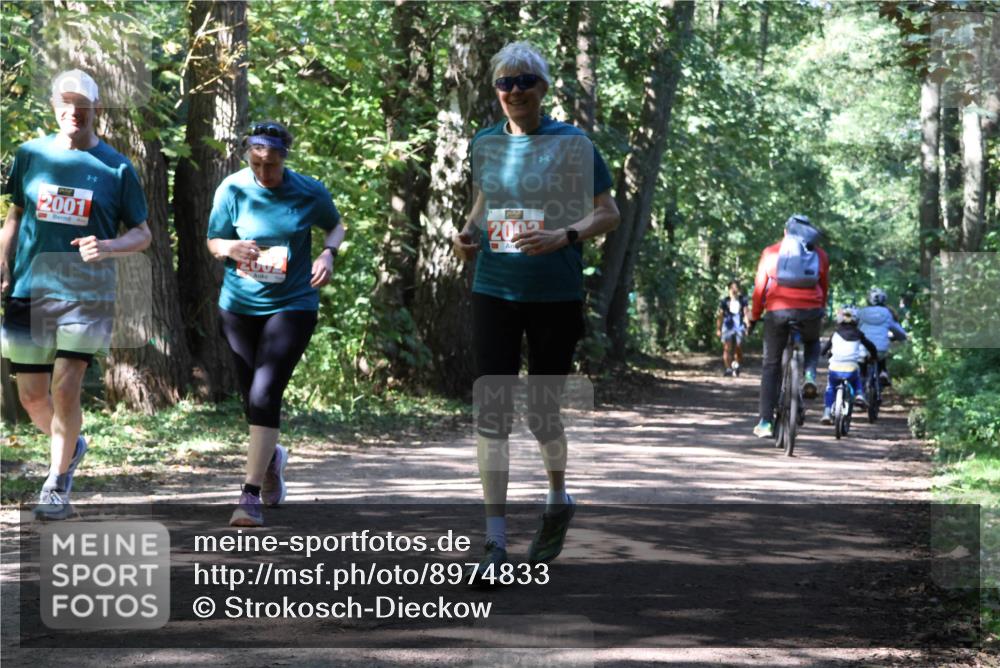 28.09.2025 - 33. Volkslauf durch das schöne Alstertal Strokosch-Dieckow http://msf.ph/oto/8974833 28.09.2025 13:05:58 Laufen 2001, 2005 meine-sportfotos.de