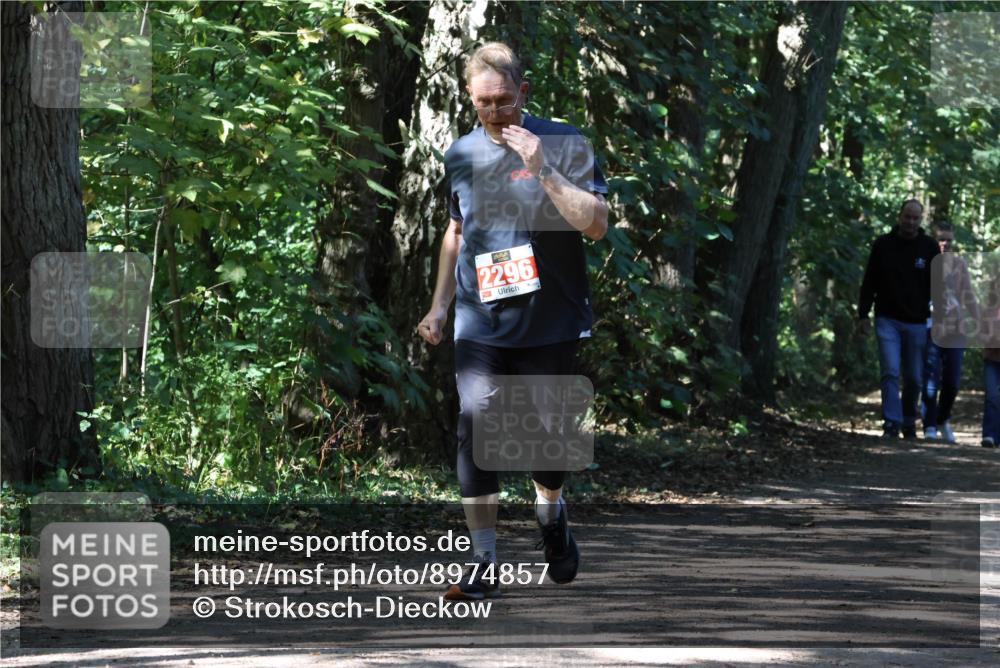 28.09.2025 - 33. Volkslauf durch das schöne Alstertal Strokosch-Dieckow http://msf.ph/oto/8974857 28.09.2025 13:10:36 Laufen 2296 meine-sportfotos.de