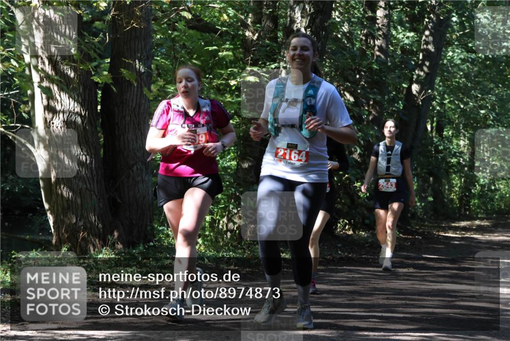 28.09.2025 - 33. Volkslauf durch das schöne Alstertal Strokosch-Dieckow http://msf.ph/oto/8974873 28.09.2025 13:14:30 Laufen 99, 2164, 2643 meine-sportfotos.de