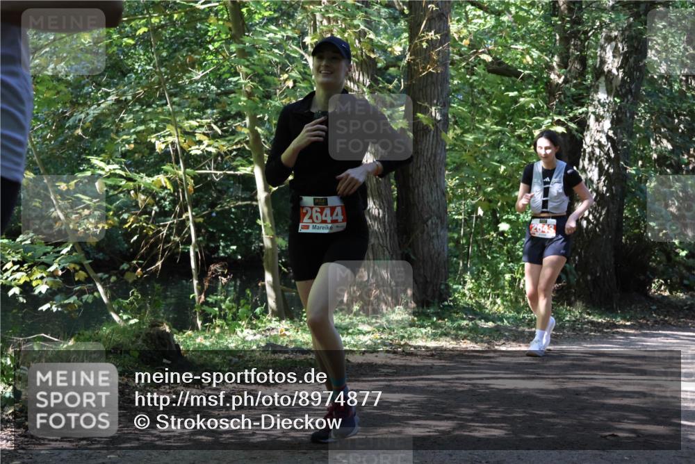 28.09.2025 - 33. Volkslauf durch das schöne Alstertal Strokosch-Dieckow http://msf.ph/oto/8974877 28.09.2025 13:14:33 Laufen 2644 meine-sportfotos.de