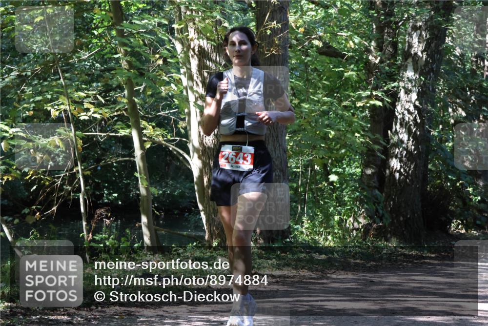 28.09.2025 - 33. Volkslauf durch das schöne Alstertal Strokosch-Dieckow http://msf.ph/oto/8974884 28.09.2025 13:14:35 Laufen 2643 meine-sportfotos.de