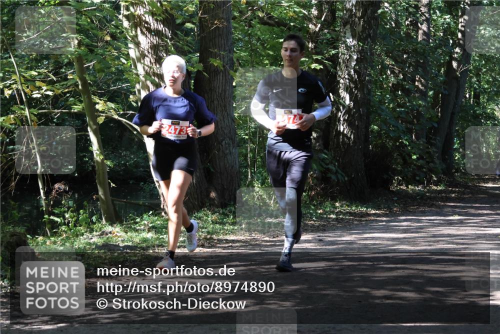 28.09.2025 - 33. Volkslauf durch das schöne Alstertal Strokosch-Dieckow http://msf.ph/oto/8974890 28.09.2025 13:17:32 Laufen 2473 meine-sportfotos.de