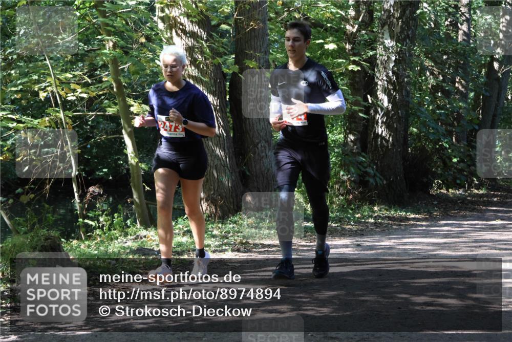 28.09.2025 - 33. Volkslauf durch das schöne Alstertal Strokosch-Dieckow http://msf.ph/oto/8974894 28.09.2025 13:17:32 Laufen 2473 meine-sportfotos.de