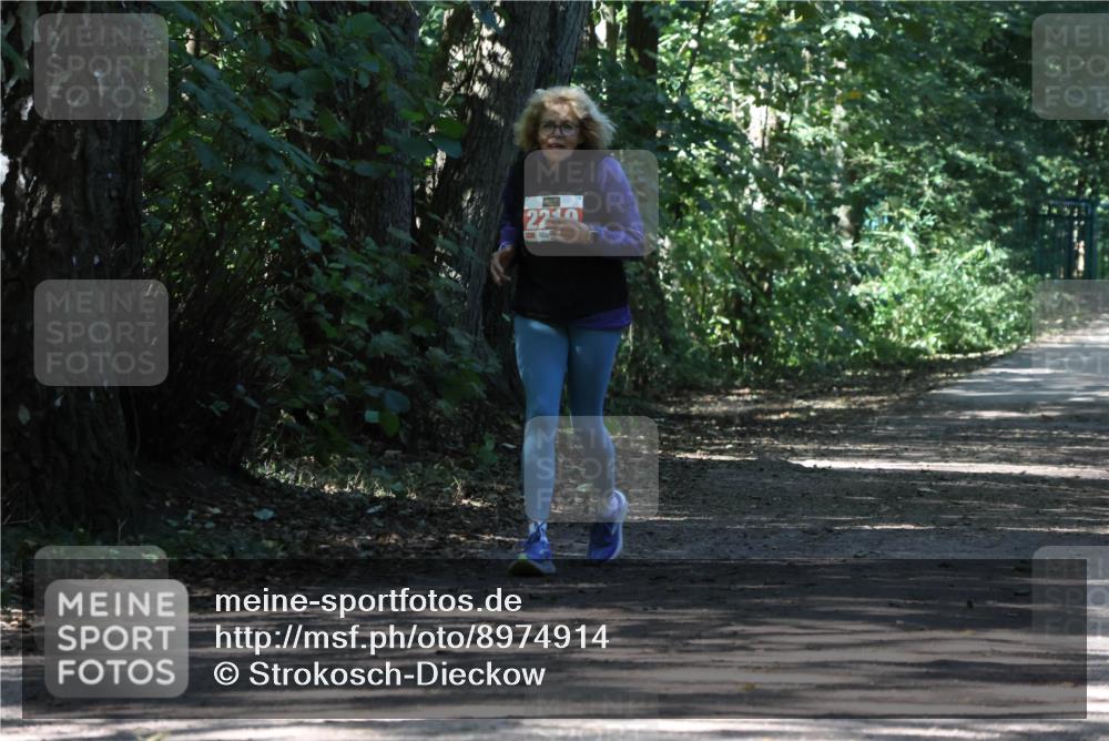 28.09.2025 - 33. Volkslauf durch das schöne Alstertal Strokosch-Dieckow http://msf.ph/oto/8974914 28.09.2025 13:35:04 Laufen 22 meine-sportfotos.de