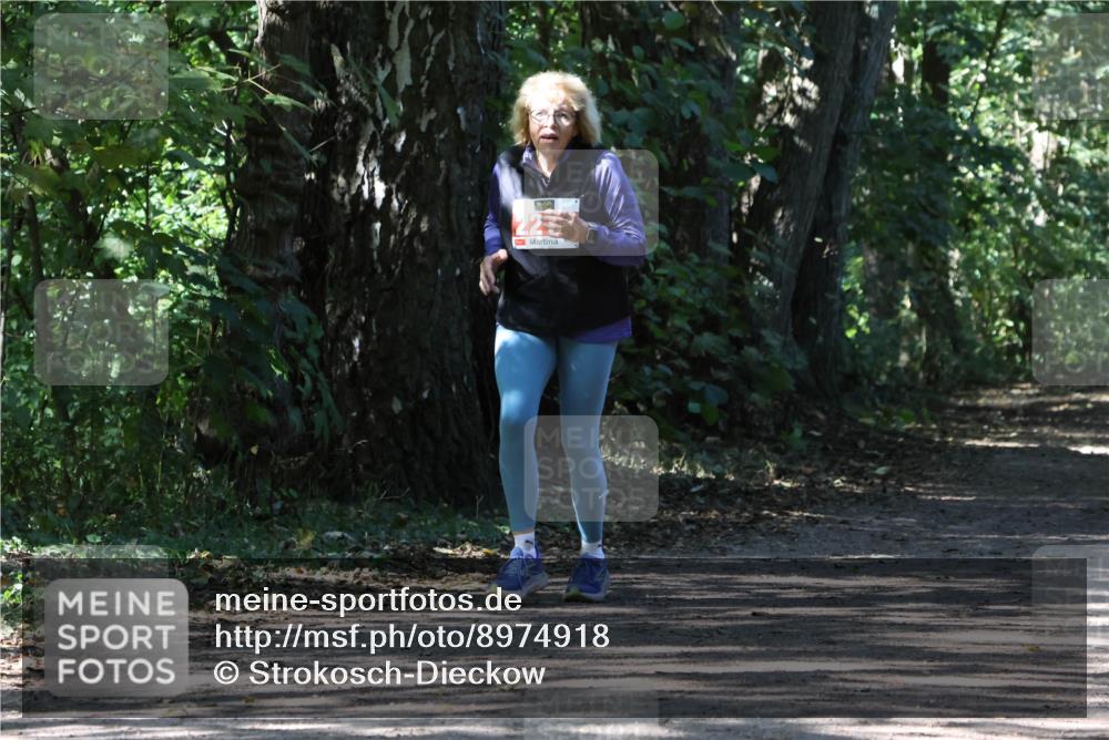 28.09.2025 - 33. Volkslauf durch das schöne Alstertal Strokosch-Dieckow http://msf.ph/oto/8974918 28.09.2025 13:35:06 Laufen 225 meine-sportfotos.de