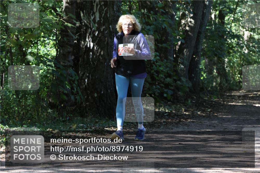 28.09.2025 - 33. Volkslauf durch das schöne Alstertal Strokosch-Dieckow http://msf.ph/oto/8974919 28.09.2025 13:35:06 Laufen 22 meine-sportfotos.de