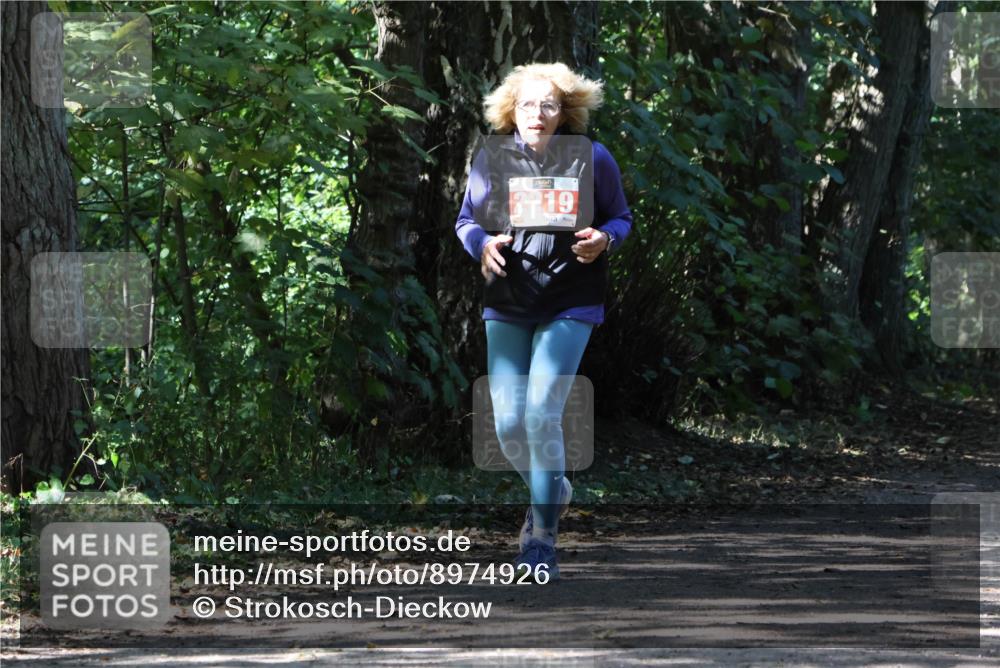 28.09.2025 - 33. Volkslauf durch das schöne Alstertal Strokosch-Dieckow http://msf.ph/oto/8974926 28.09.2025 13:35:07 Laufen 2219 meine-sportfotos.de