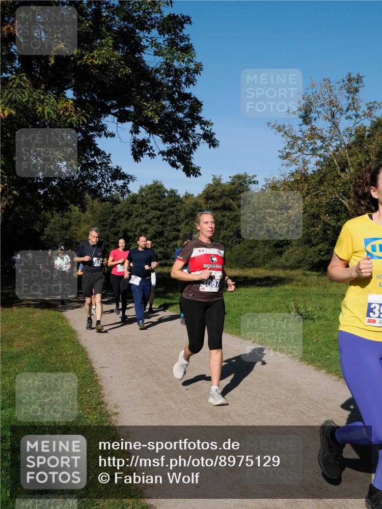 28.09.2025 - 33. Volkslauf durch das schöne Alstertal Fabian Wolf http://msf.ph/oto/8975129 28.09.2025 10:35:56 Laufen 305, 3199, 3097, 39 meine-sportfotos.de