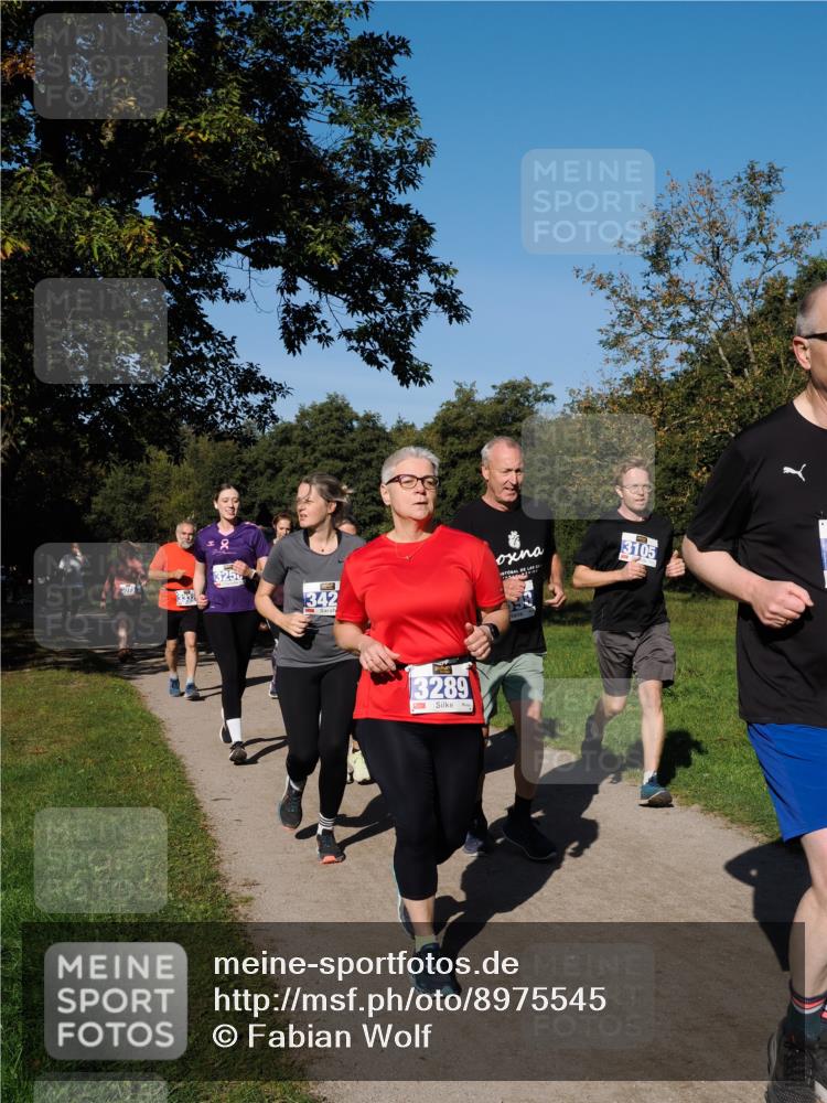 28.09.2025 - 33. Volkslauf durch das schöne Alstertal Fabian Wolf http://msf.ph/oto/8975545 28.09.2025 10:36:52 Laufen 2, 325, 342, 3289, 3105 meine-sportfotos.de