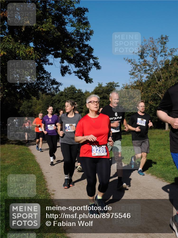 28.09.2025 - 33. Volkslauf durch das schöne Alstertal Fabian Wolf http://msf.ph/oto/8975546 28.09.2025 10:36:52 Laufen 2, 3258, 34, 3289, 3105 meine-sportfotos.de