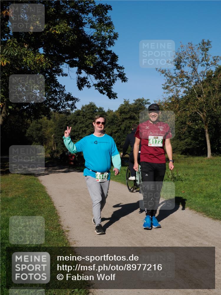 28.09.2025 - 33. Volkslauf durch das schöne Alstertal Fabian Wolf http://msf.ph/oto/8977216 28.09.2025 10:43:21 Laufen 19, 4172, 4143 meine-sportfotos.de