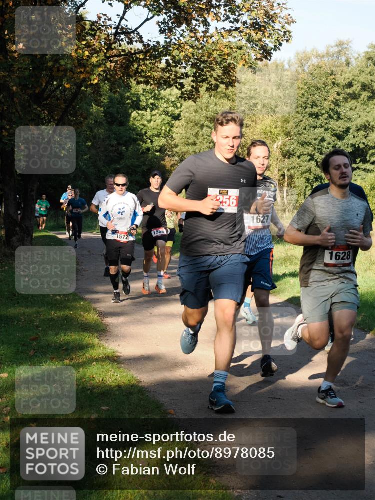 28.09.2025 - 33. Volkslauf durch das schöne Alstertal Fabian Wolf http://msf.ph/oto/8978085 28.09.2025 10:04:01 Laufen 1017, 1572, 1556, 256, 1627, 1628 meine-sportfotos.de
