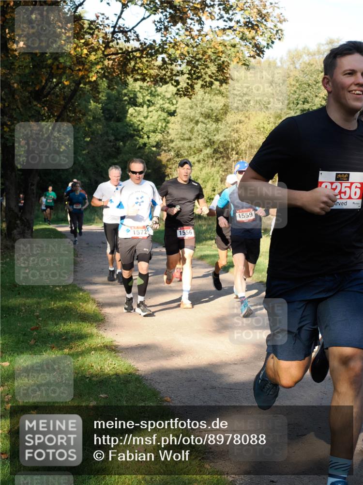 28.09.2025 - 33. Volkslauf durch das schöne Alstertal Fabian Wolf http://msf.ph/oto/8978088 28.09.2025 10:04:02 Laufen 1013, 1572, 1556, 1559, 256 meine-sportfotos.de